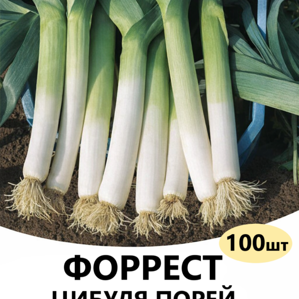 Цибуля порей Форрест F1 Bejo – 100шт