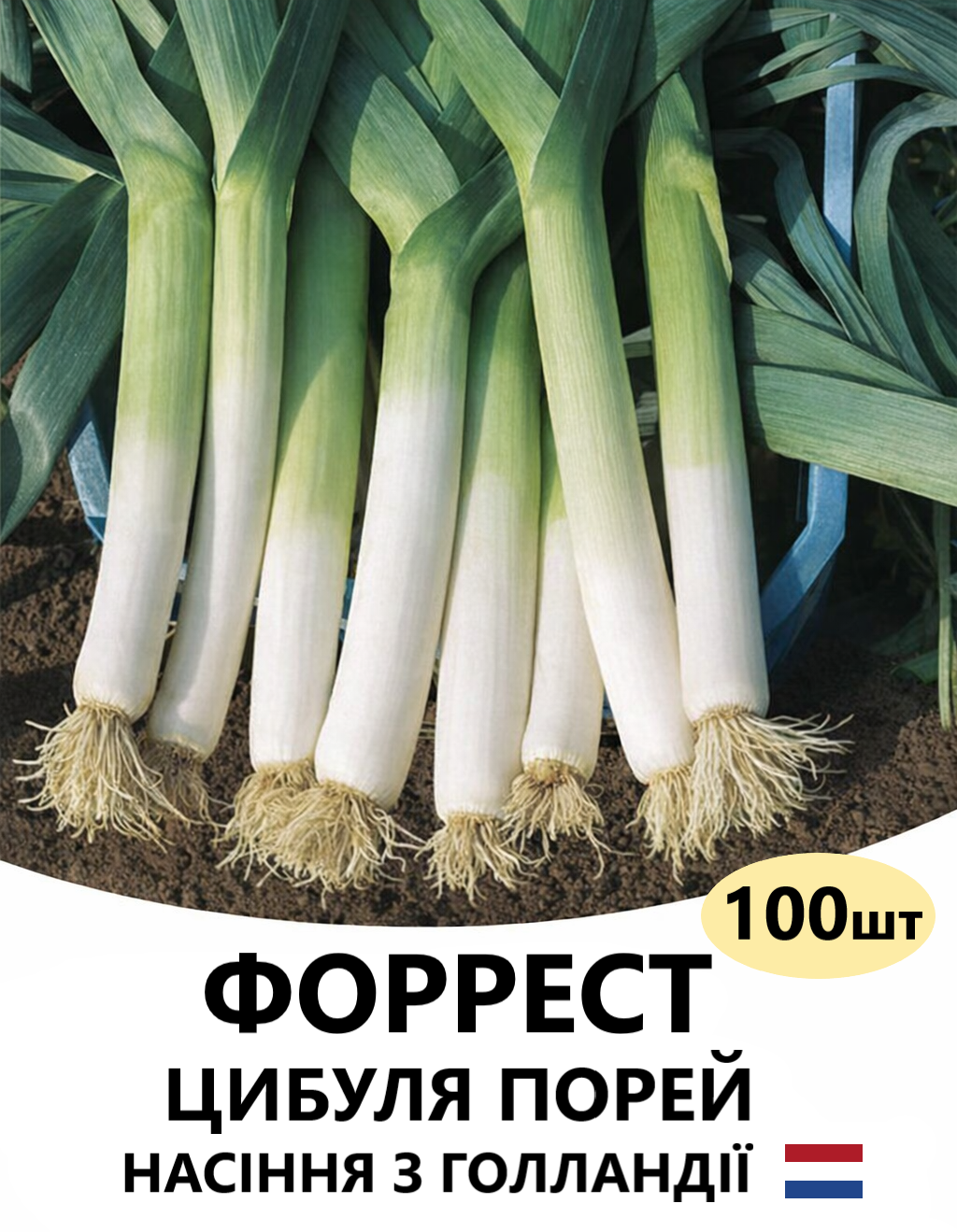 ФОРРЕСТ