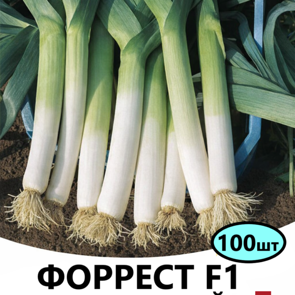 Цибуля порей Форрест F1 Bejo – 100шт