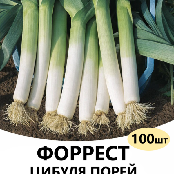 Цибуля порей Форрест F1 Bejo – 100шт