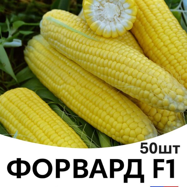 Кукурудза Форвард F1 Spark Seeds