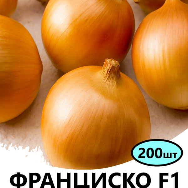 Цибуля Франциско F1 Hazera