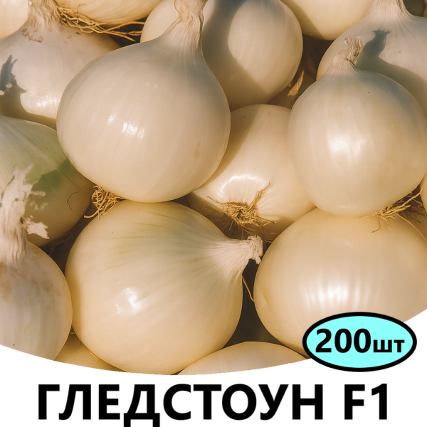 Цибуля Гледстоун F1 Bejo – 200шт