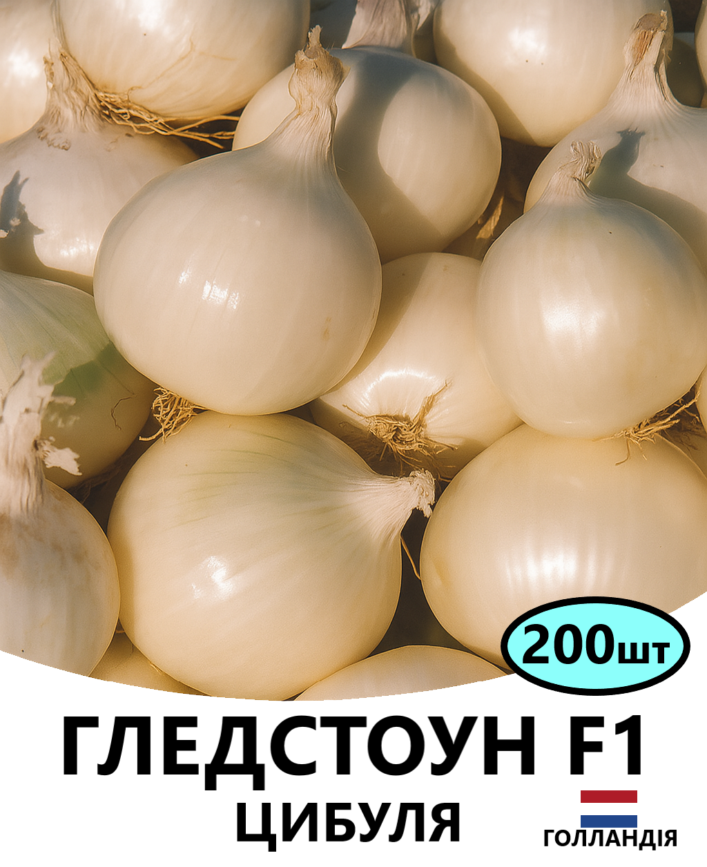 гледстоун 200