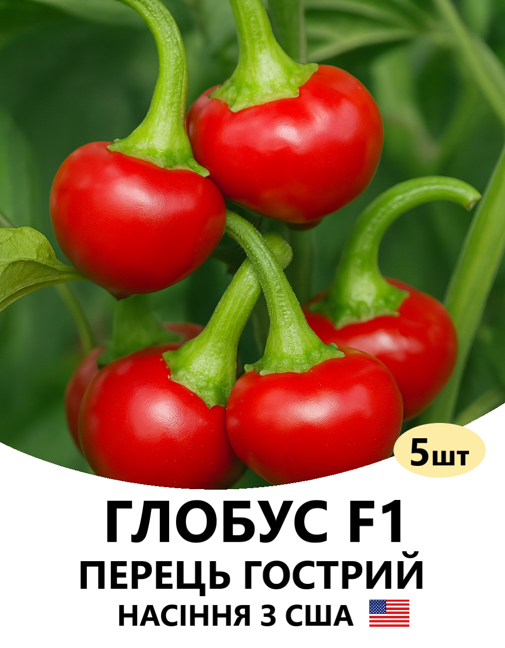 ГЛОБУС 5
