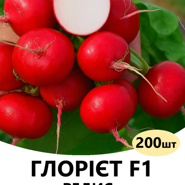 Редис Глорієт F1 SAKATA