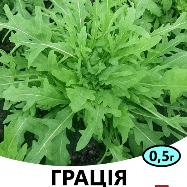 Рукола Грація ENZA ZADEN – 0.5г