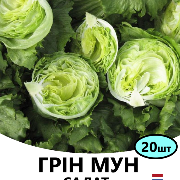 Салат Грін Мун Hazera – 20шт