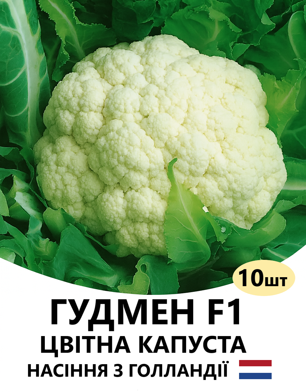 ГУДМЕН 10