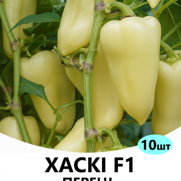 Перець Хаскі F1 ENZA ZADEN – 10шт