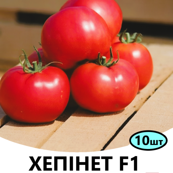 Томат Хепінет F1 Syngenta