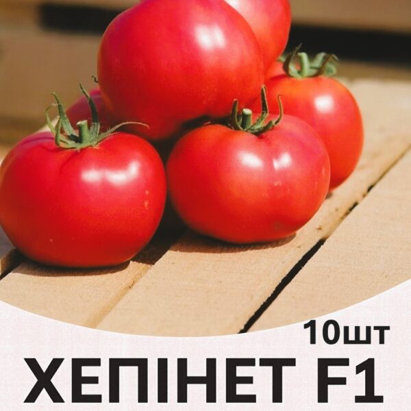 Томат Хепінет F1 Syngenta