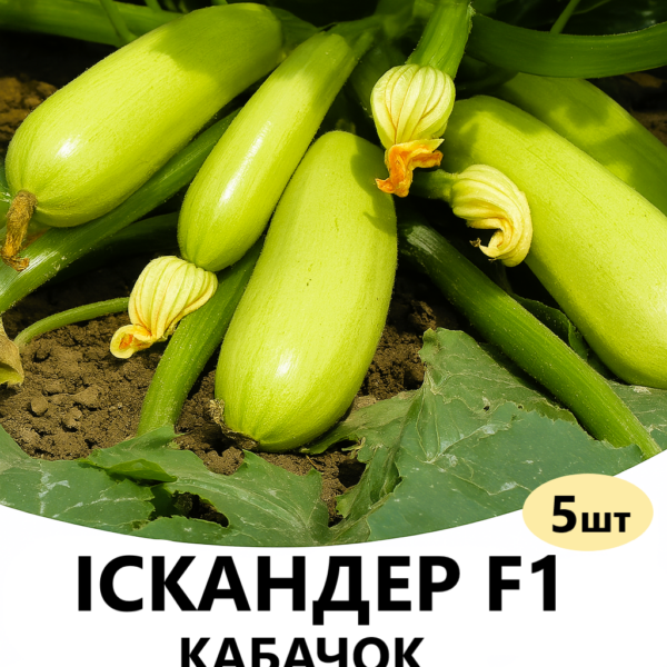 Кабачок Іскандер F1 SEMINIS