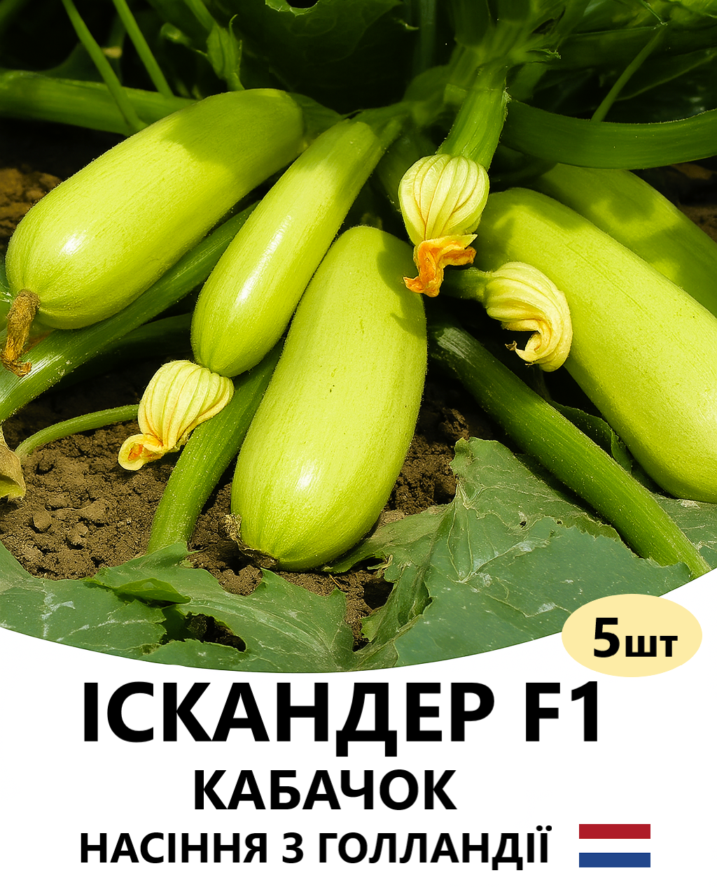 ІСКАНДЕР 5