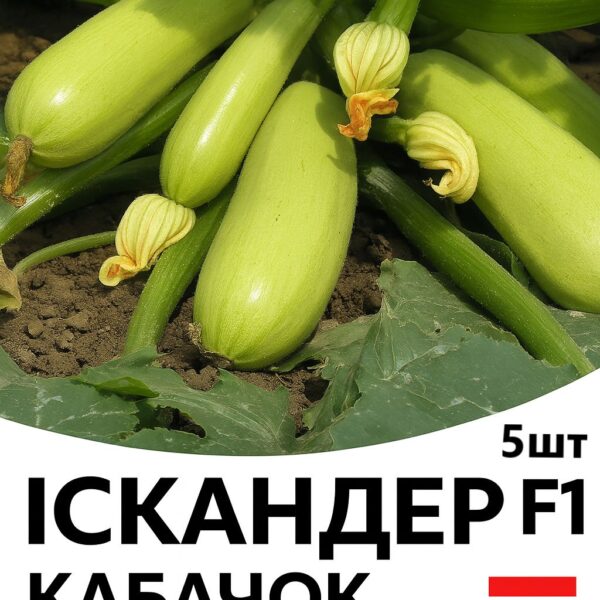 Кабачок Іскандер F1 SEMINIS