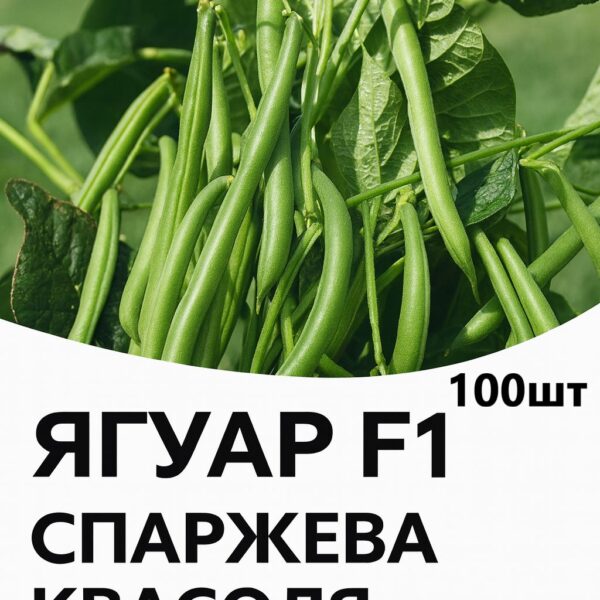 Спаржева квасоля Ягуар F1 HAZERA