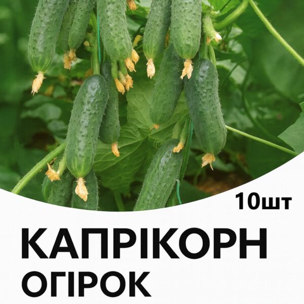 Огірок Капрікорн YUKSEL