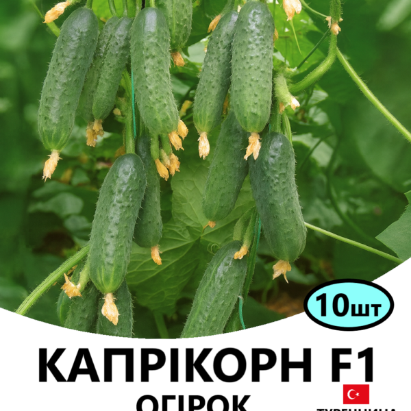 Огірок Капрікорн F1 YUKSEL – 10шт