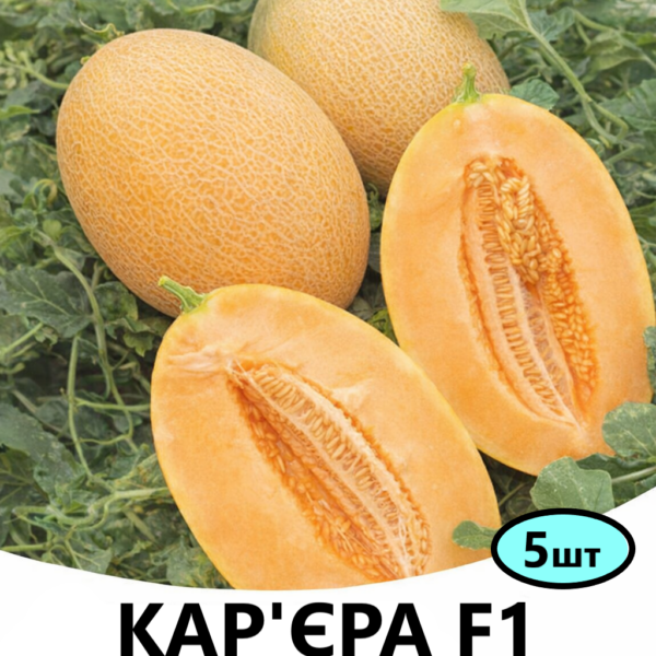 Диня Кар'єра F1 Nunhems – 5шт