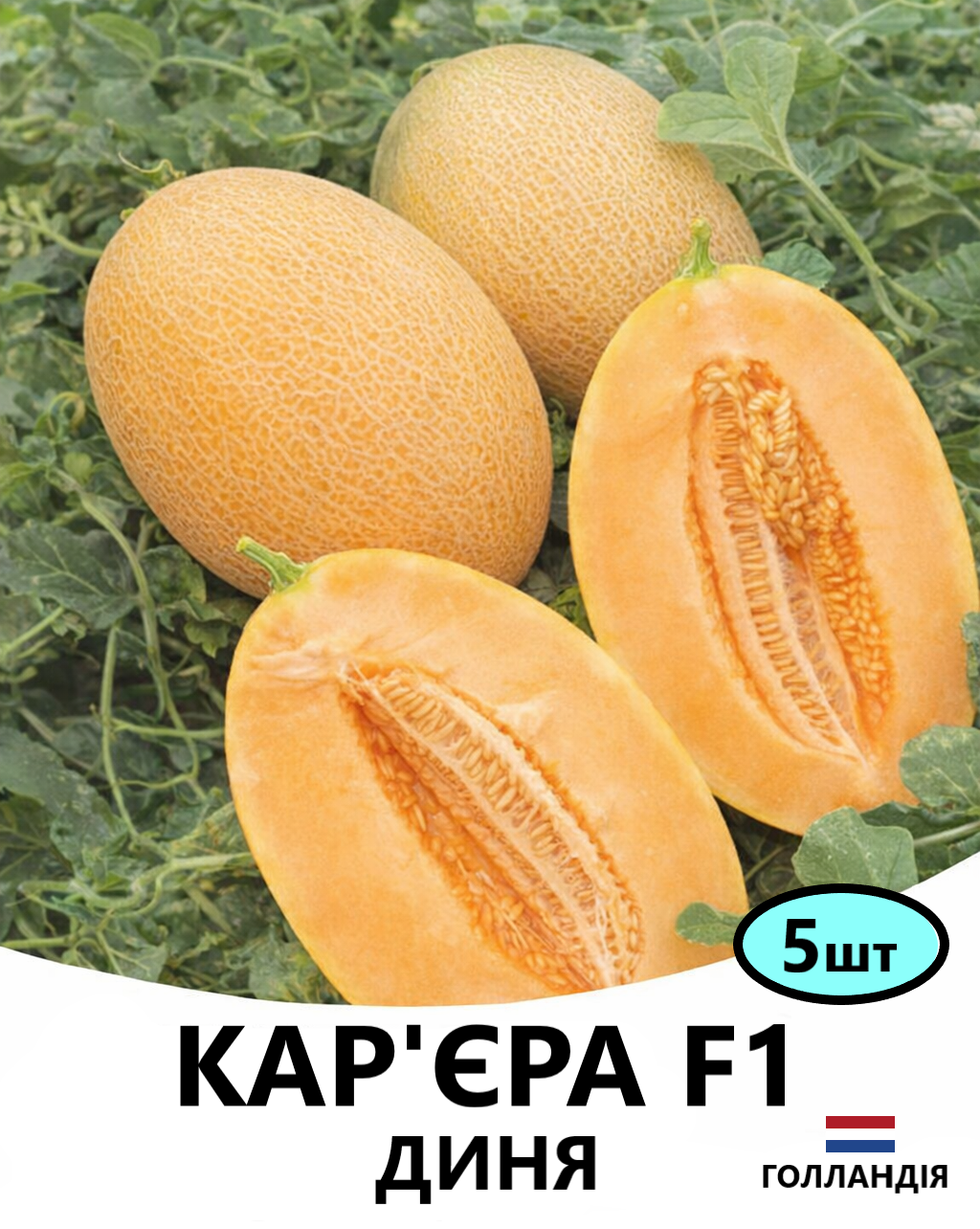 КАР'ЄРА 5