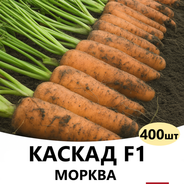 Морква Каскад F1 Bejo