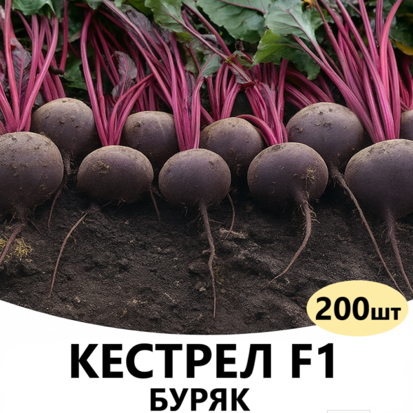 Буряк Кестрел F1 SAKATA