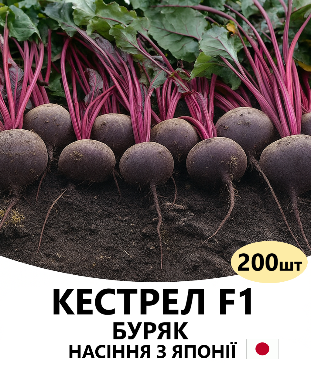КЕСТРЕЛ 200