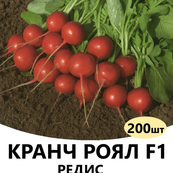 Редис Кранч Роял F1 SAKATA