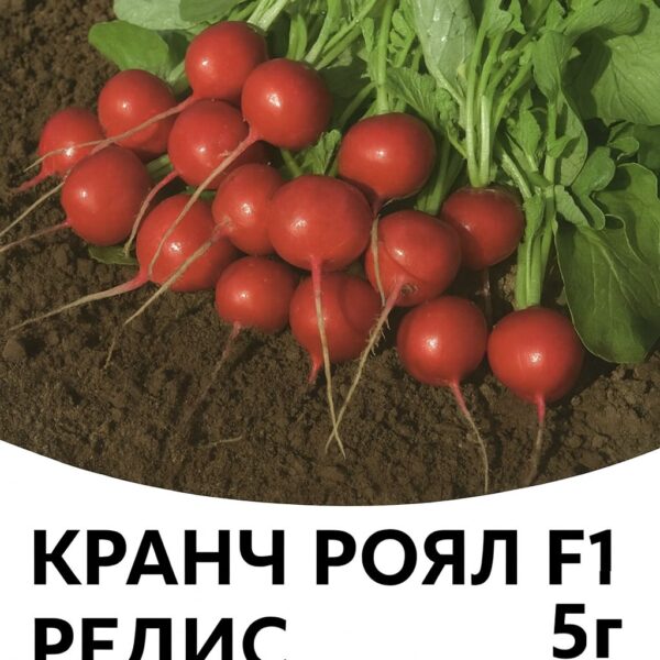 Редис Кранч Роял F1 SAKATA