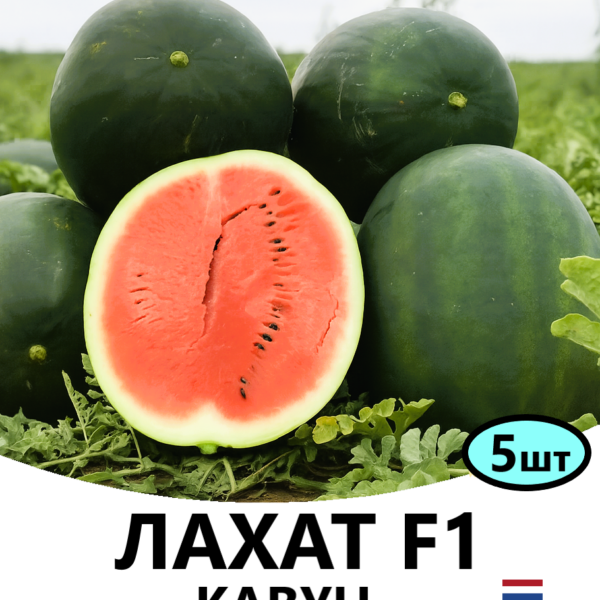 Кавун Лахат F1 Hazera