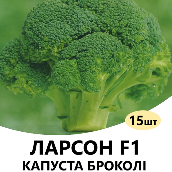 Капуста броколі Ларсон F1 Rijk Zwaan – 15шт