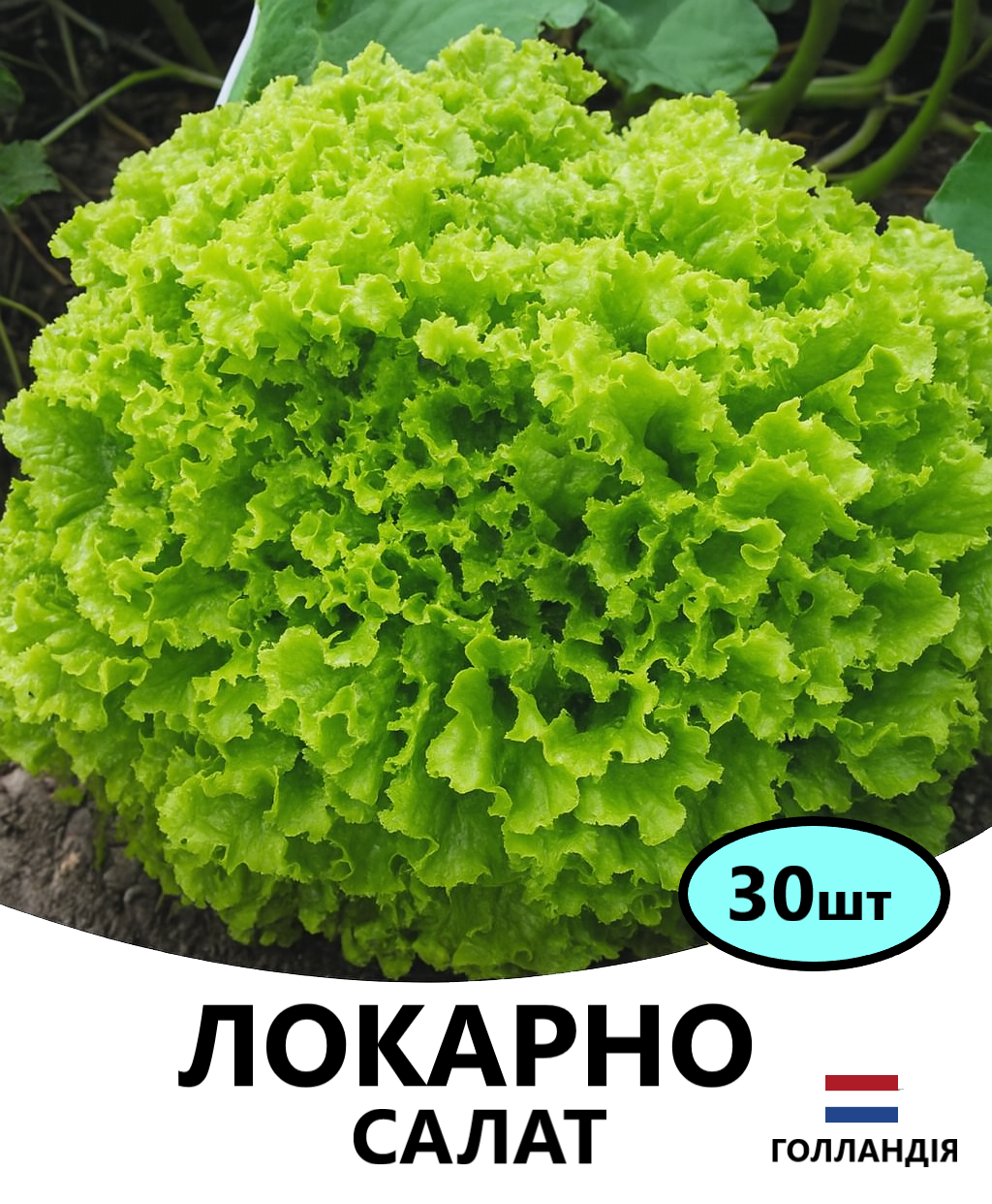 локарно