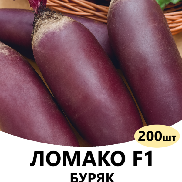 Буряк Ломако F1 Rijk Zwaan