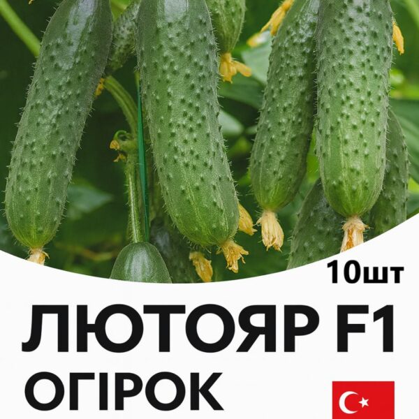 Огірок Лютояр YUKSEL