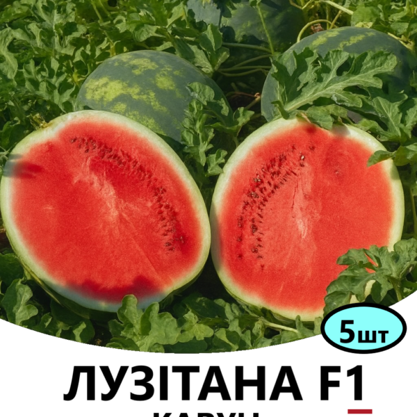Кавун Лузітана F1 Rijk Zwaan – 5шт