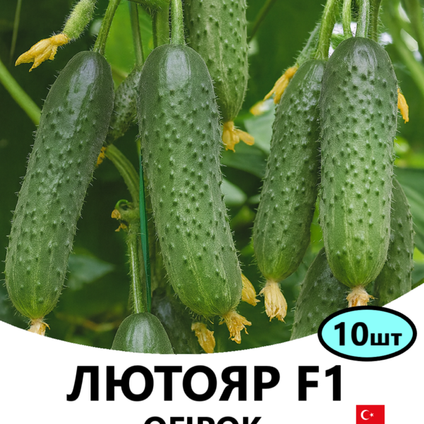 Огірок Лютояр F1 YUKSEL – 10шт