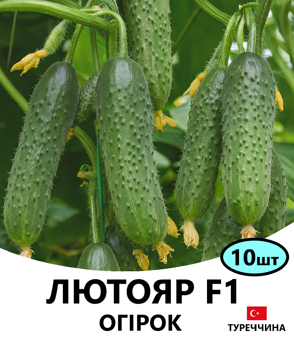 ЛЮТОЯР10