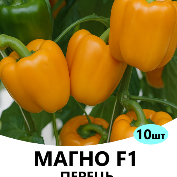 Перець Магно F1 ENZA ZADEN – 10шт