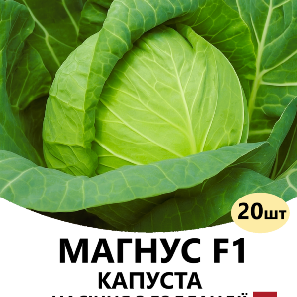 Капуста Магнус F1 Hazera