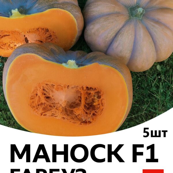 Гарбуз Маноск F1 ENZA ZADEN