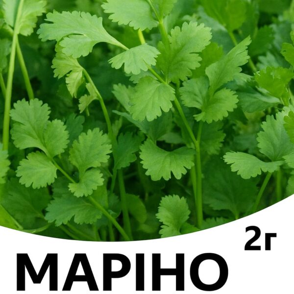 Коріандр Маріно F1 ENZA ZADEN