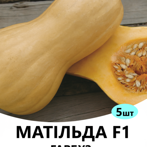 Гарбуз Матільда F1 ENZA ZADEN – 5шт.