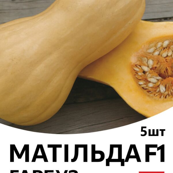 Гарбуз Матільда F1 ENZA ZADEN