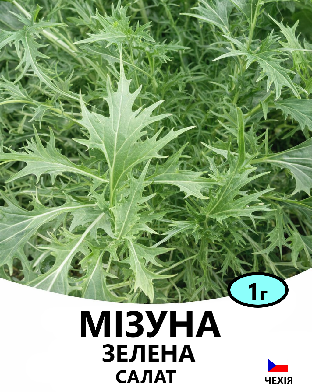МІЗУНА