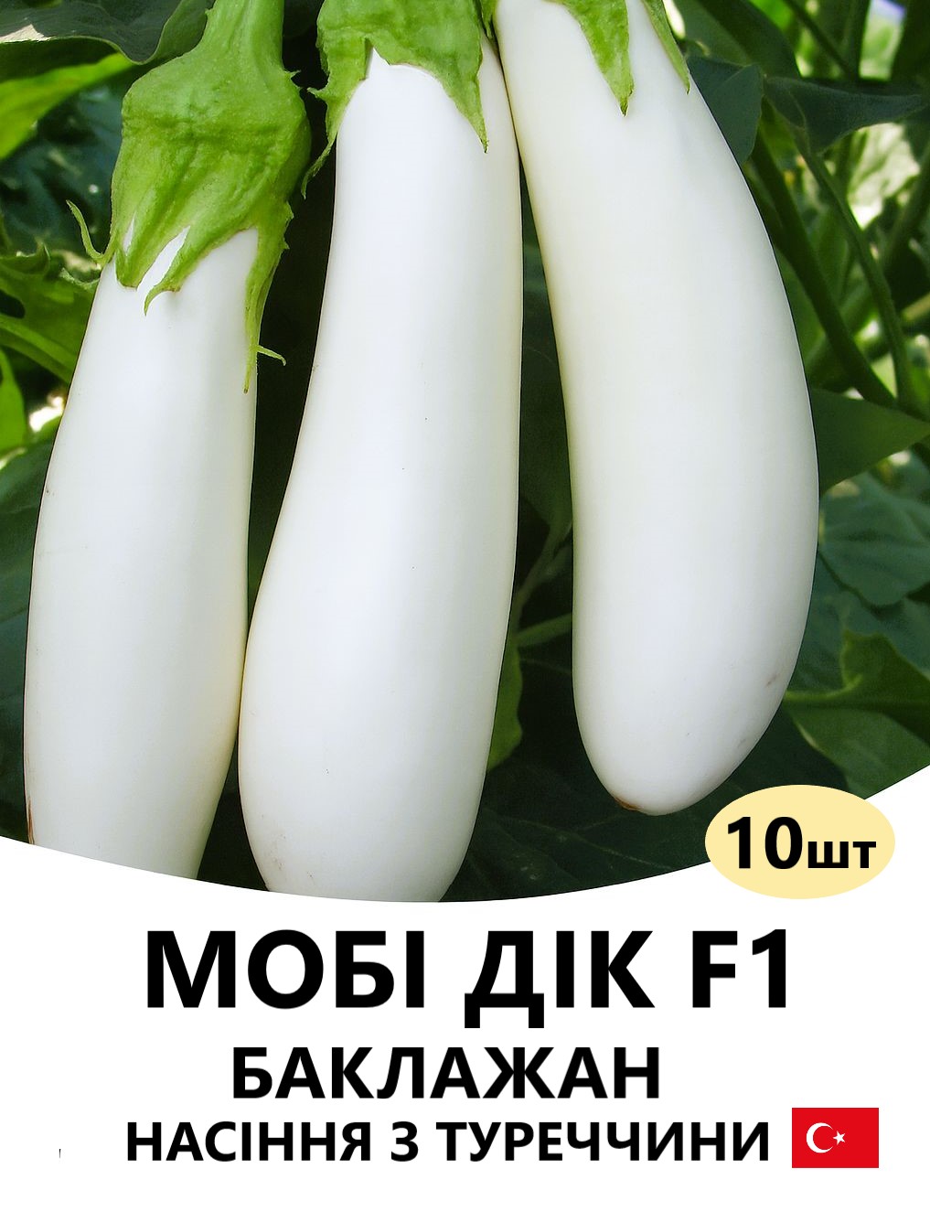 МОБІ ДІК 10