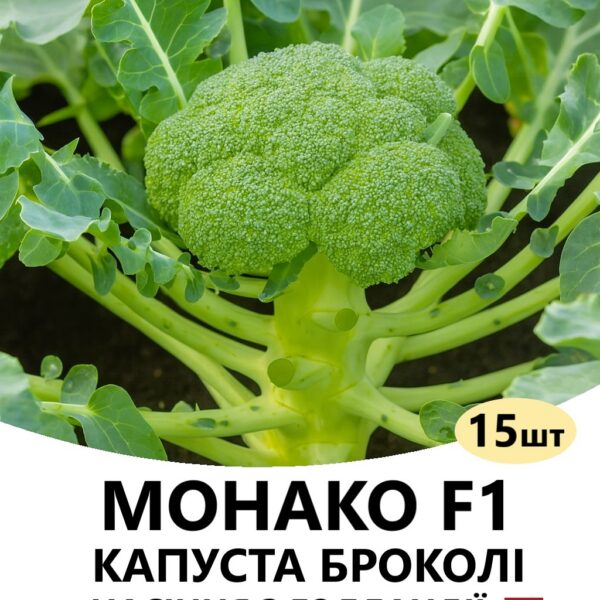 Капуста броколі Монако F1 Bejo – 15шт
