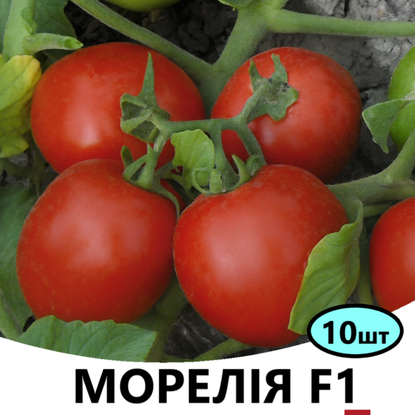Томат Морелія F1 ENZA ZADEN – 10шт