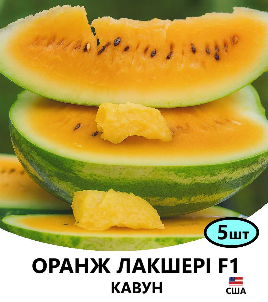 О.ЛАКШЕРІ 5