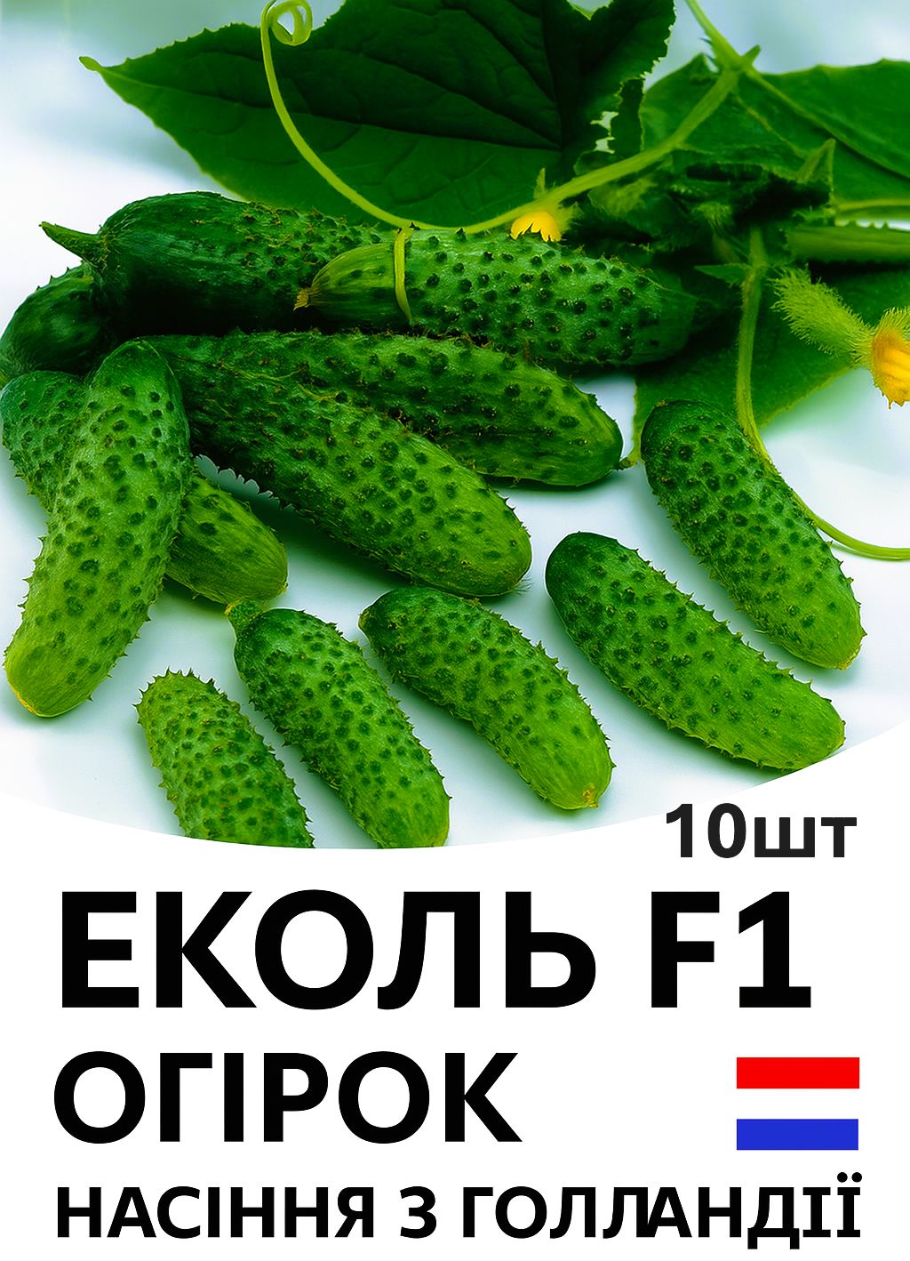 ogirok-ekol-f1