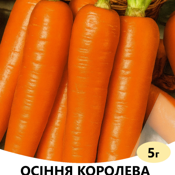 Морква Осіння Королева F1 Satimex – 5г